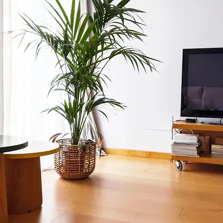 Appartement céntrico Apartamento Elai, Saint-Sébastien